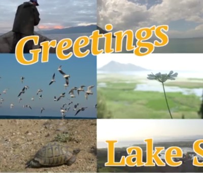 Greetings from Lake Skadar: Meet the Balkans’ Largest Lake